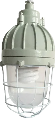 Picture of 隔爆型防爆灯（HID）